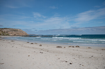 beach and sea