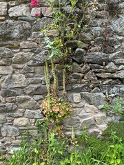Cotentin Mauer
