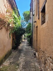 Fototapeta premium Monpazier, Périgord Noir, Dordogne, Nouvelle Aquitaine, France, Europe