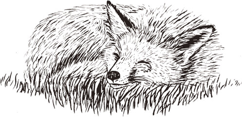 Drawing of pastry products, desserts. Food menu design template. Hand drawn sketch vector illustration.
