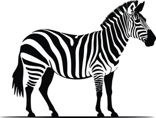 Zebra Artwork: A Monochromatic Masterpiece of a Zebra