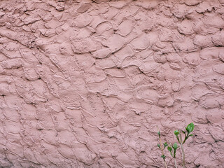 Beautiful pink background of decorative plaster fur coat