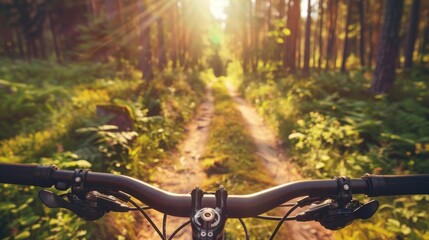 A mountain biker rides through a sun-dappled forest, handlebars in focus. The path ahead winds through lush greenery.