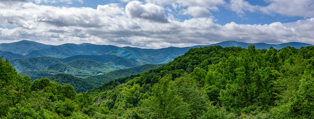 A panoramic view of the Roan Highlands from the Chestnut Ridge Overlook in Roan Mountain State Park, Tennessee. Framed by forest in the foreground and a thick cloud cover above the mountain peaks.