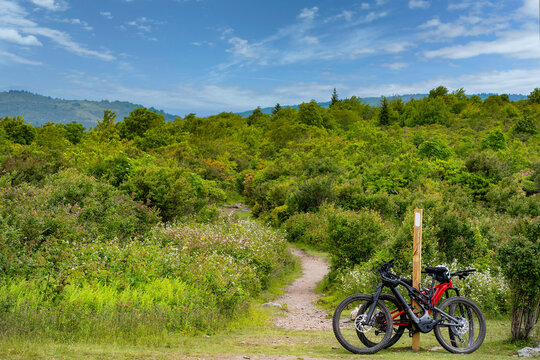 Two mountain bikes are secured to an Appalachian Trail marker at the intersection with the Rhododendron Trail in Grayson Highlands State Park so that the riders can explore the trail on foot.