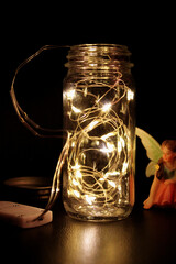 Tiny Twinkling Warm White Fairy Lights Glowing in the Dark