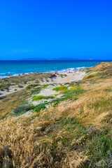 Tam Tam Beach - beautiful coast scenery with paradise beach on island Kos - travel destination in...