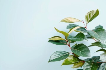 Green leaves against a light blue background, creating an eco-friendly and serene atmosphere. The composition offers a space for adding text or other elements.