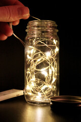 Tiny Twinkling Warm White Fairy Lights Glowing in the Dark