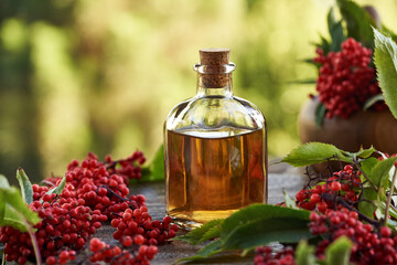 Herbal syrup made of red elderberry or Sambucus racemosa fruit in a glass bottle. Immune support.