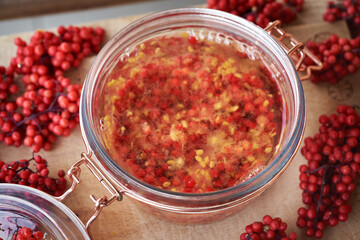 Preparation of herbal tincture for immune support from crushed fresh red elderberry or Sambucus racemosa berries and alcohol
