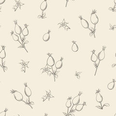 Seamless floral pattern with Rose. Botanical rosehip