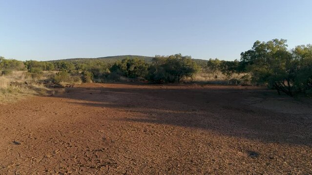  African Savana Drone Aerial Tracking Shot