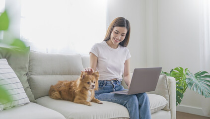 Asian beautiful lady with bwork at the notebook sit down on the sofa at home, technology woman concept for alternative office freelance Young happy Asian woman using laptop on her lap with pet dog