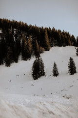 Winterlandschaft in den Bergen. Die klare, kalte Atmosphäre und die unberührte Natur schaffen ein...