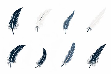 A set of eight isolated black and white feather icons displayed on a white background. The feathers vary in shape and size, showcasing elegant and detailed designs.