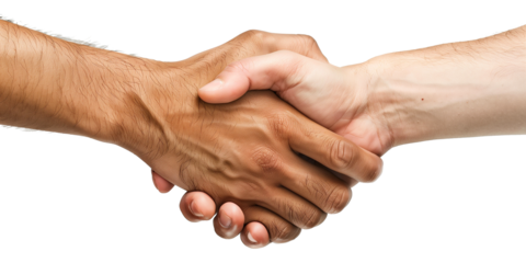 Handshake isolated on transparent or white background 