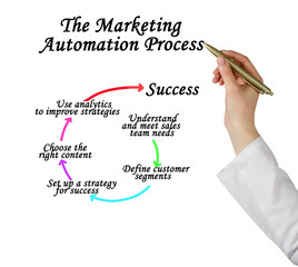 Components of Marketing  Automation Process