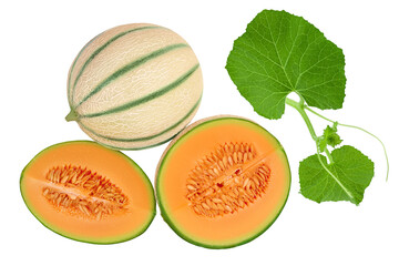 Cantaloupe melon isolated on white background with full depth of field. Top view. Flat lay