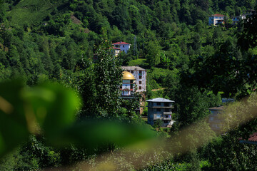 Fototapety na wymiar - Fototapeta24.pl