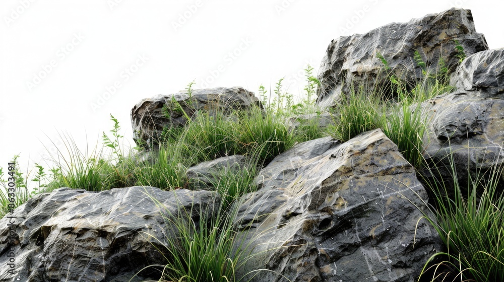 Poster a close-up of rocks with lush green grass growing on top, suitable for use in nature-inspired design