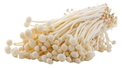 Enoki mushroom on transparent background