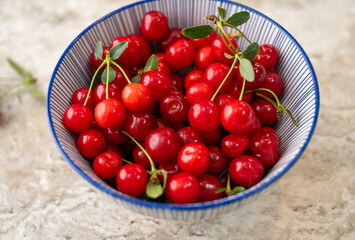 Bowl of Freshly Picked Sour Cherries