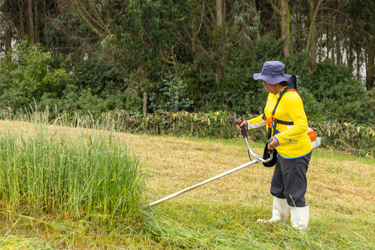 Latino man cutting a strip of grass on a hillside in the Ecuadorian Andes with a motorized grass-cutting machine