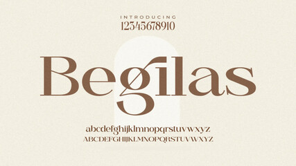 Elegant alphabet letters logo font and number. Luxury Classic Modern Serif Lettering Minimal Fashion. Typography decoration fonts for branding, wedding, logos. vector illustration