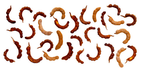 Tamarind fruit on white background.