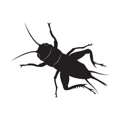 cricket insect icon vector illustration design template