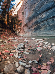 The Upper Narrows of Zion, Top-Down Trail, Zion National Park, Utah