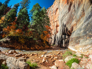 The Upper Narrows of Zion, Top-Down Trail, Zion National Park, Utah