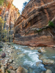 The Upper Narrows of Zion, Top-Down Trail, Zion National Park, Utah