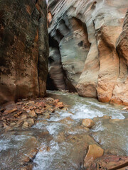 The Upper Narrows of Zion, Top-Down Trail, Zion National Park, Utah