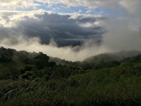 Monte de Casares en Ribas do Sil, Galicia