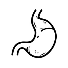 human stomach, digestive system, digestion - vector icon