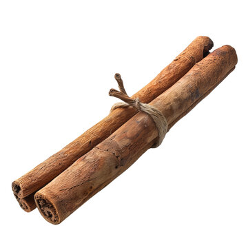 cinnamon sticks isolated on white