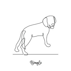 One continuous line drawing of beagle vector illustration. Type of Dog themes design concept with simple linear style vector. Dogs are domesticated mammals, loyalty and companionship to humans.