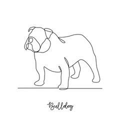 Obraz premium One continuous line drawing of Bulldog vector illustration. Type of Dog themes design concept with simple linear style vector. Dogs are domesticated mammals, loyalty and companionship to humans.