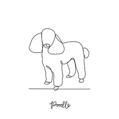 One continuous line drawing of poodle vector illustration. Type of Dog themes design concept with simple linear style vector. Dogs are domesticated mammals, loyalty and companionship to humans.