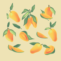 ango Illustration Fruit Vector Design Stock Image. Bright vector set of colorful and Fresh cartoon fruits isolated on white background. Collection of cute