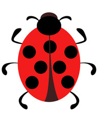 simple illustration of a ladybug in flat style, a cute beetle with red wings and black dots