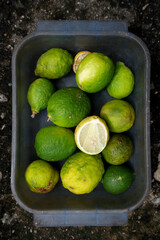 fresh green lemon. flat lay photo.