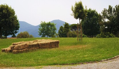 Quadrate balle di fieno su prato, Italia