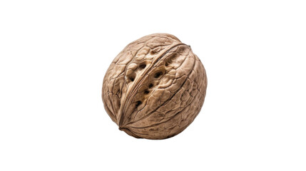 Fototapeta premium Walnut on transparent background