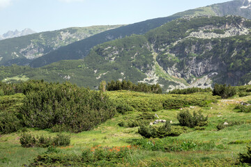 Rila Mountain near The Seven Rila Lakes, Bulgaria