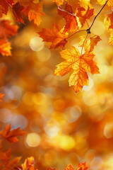 Fototapeta premium Vibrant autumn leaves with blurred background in warm sunlight. Vertical