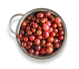 Colander with fresh gooseberries on white background