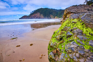 Moss-Covered Rock and Ocean Waves from Low Perspective